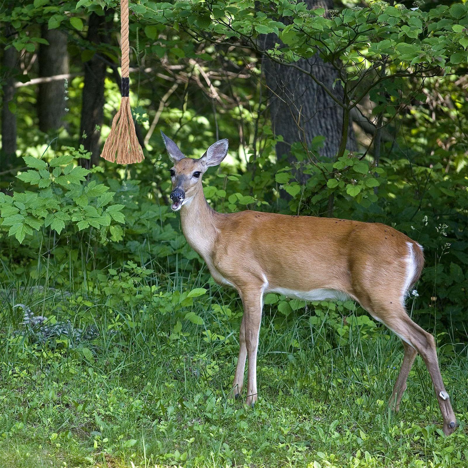 Deer Scent Rope Effective Long - đánh giá và giá Deer Attractant Scent