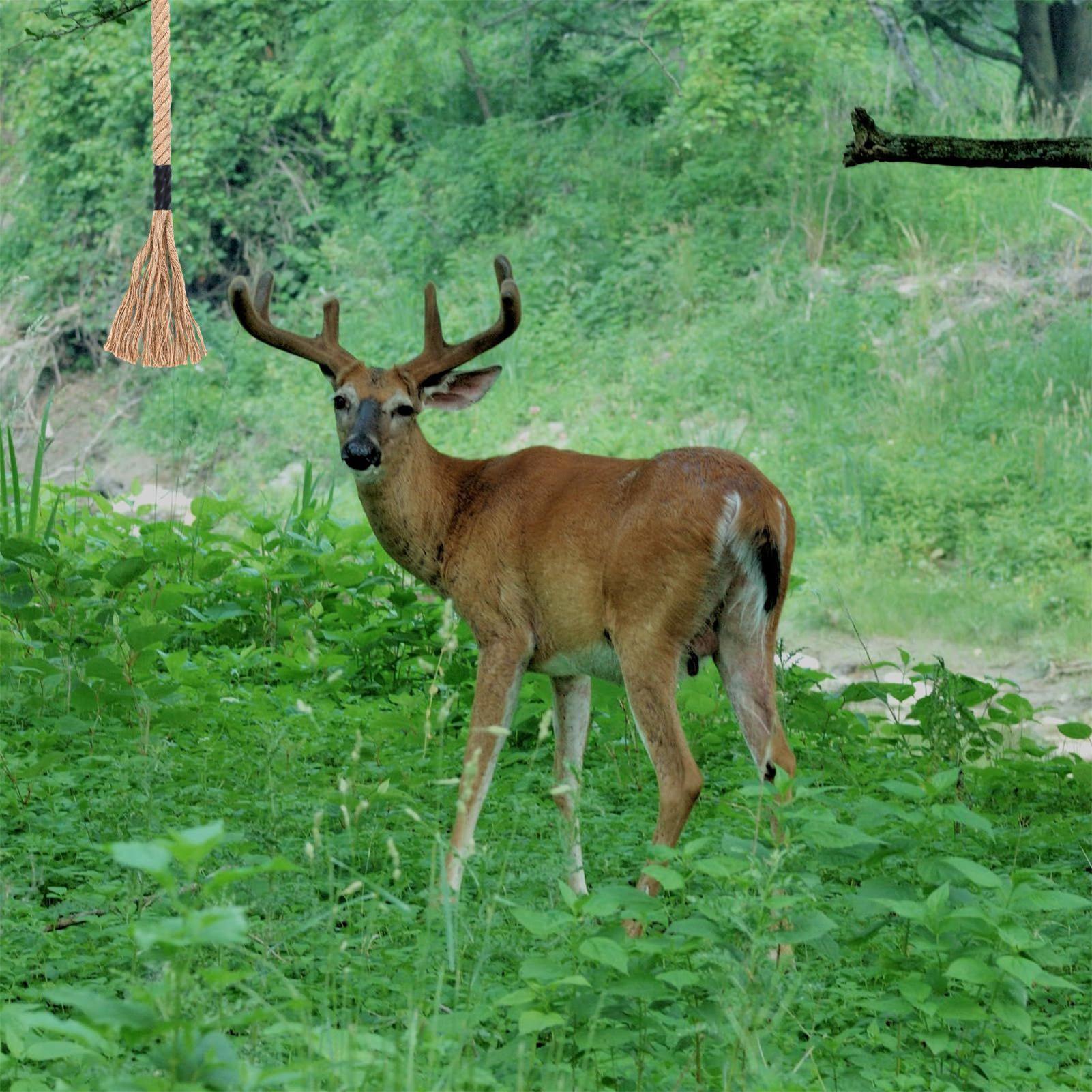 Deer Scent Rope Long-Lasting E - đánh giá và giá Deer Attractant Scent