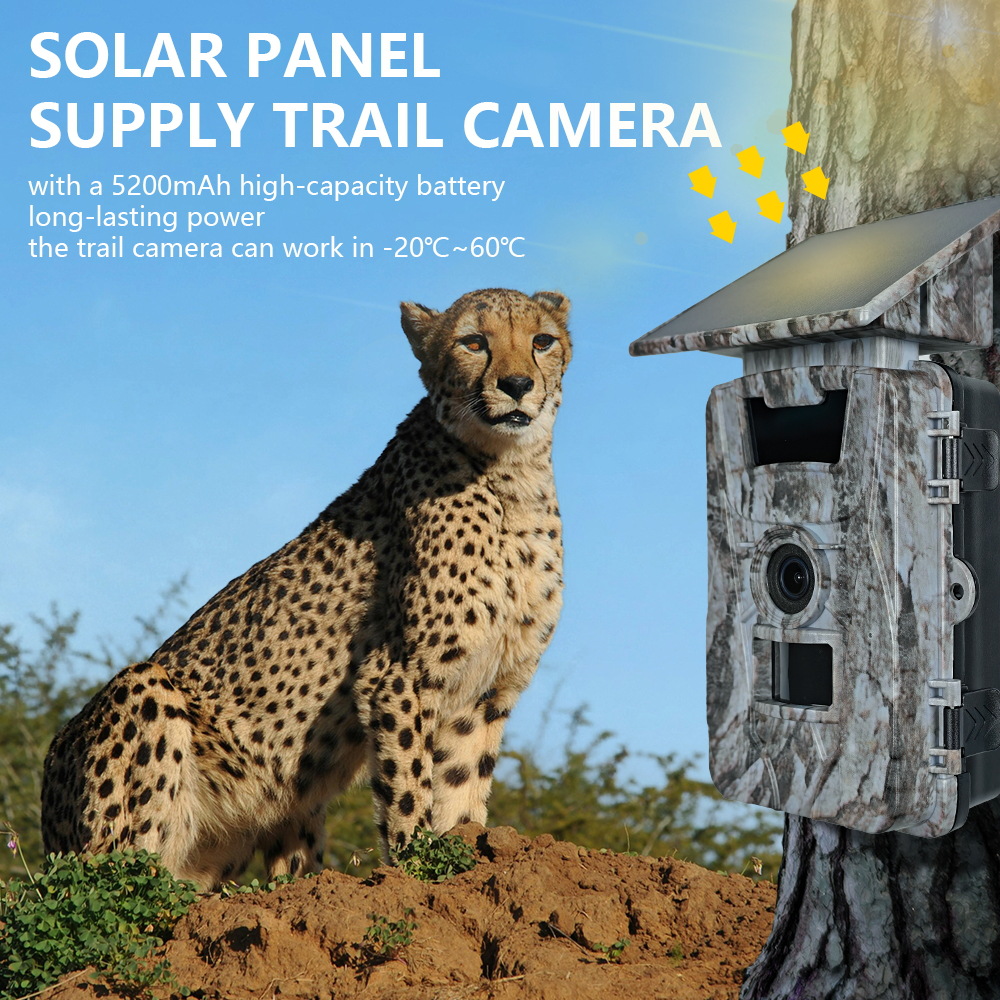 Solar WiFi 4K 60MP Hunting Cam - đánh giá và giá Outdoor Hunting Photography