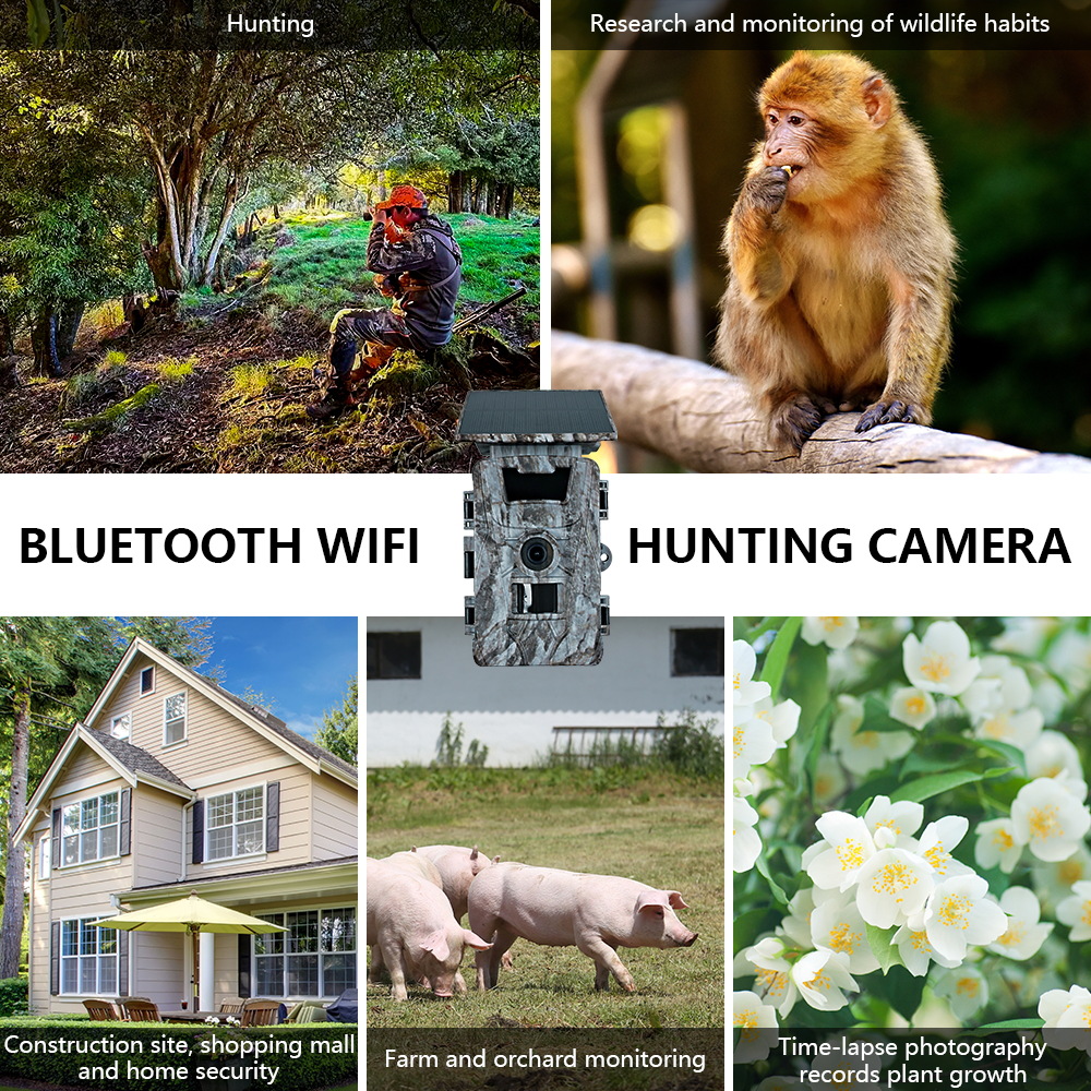 Solar WiFi 4K 60MP Hunting Cam - đánh giá và giá Outdoor Hunting Photography
