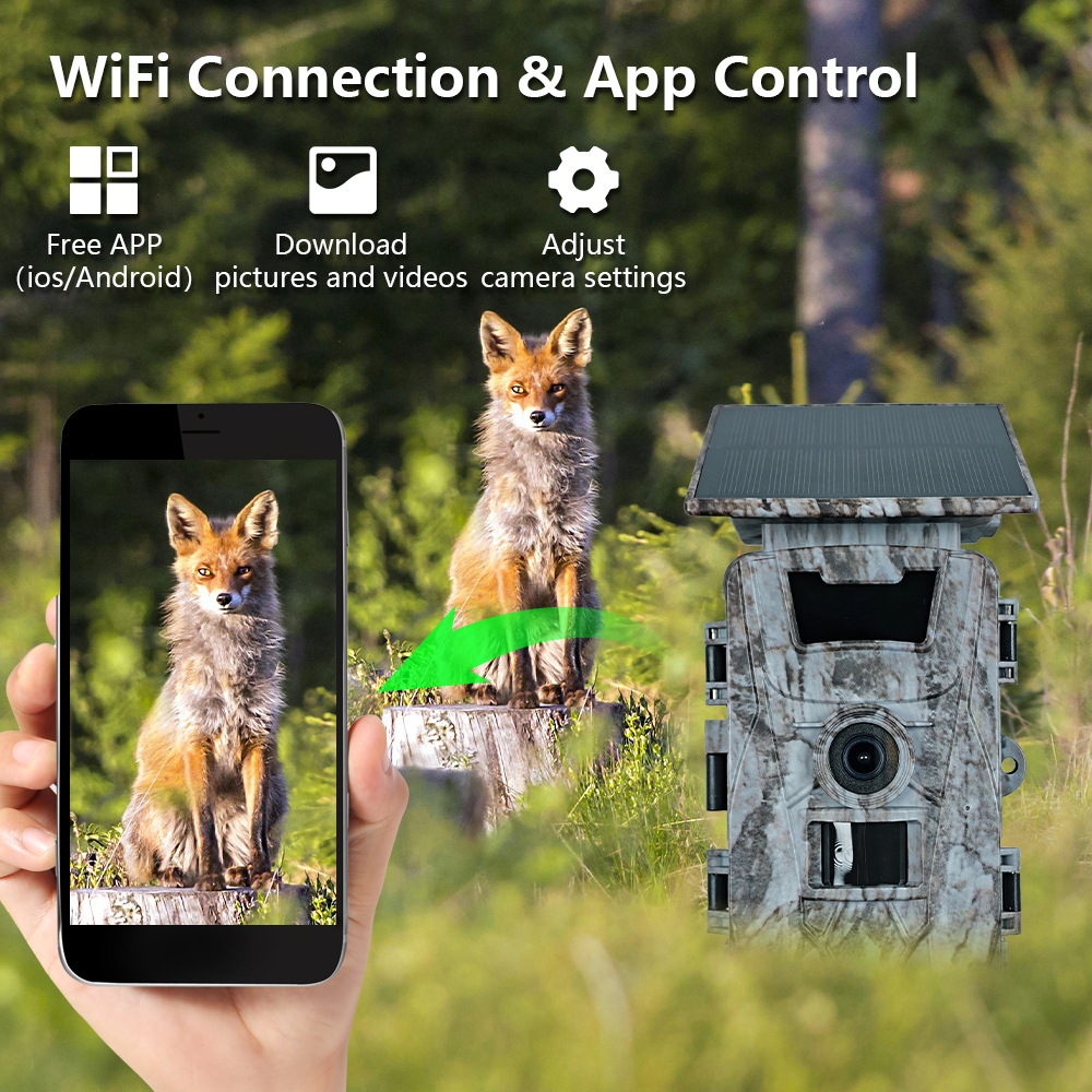 Solar WiFi 4K 60MP Hunting Cam - đánh giá và giá Outdoor Hunting Photography