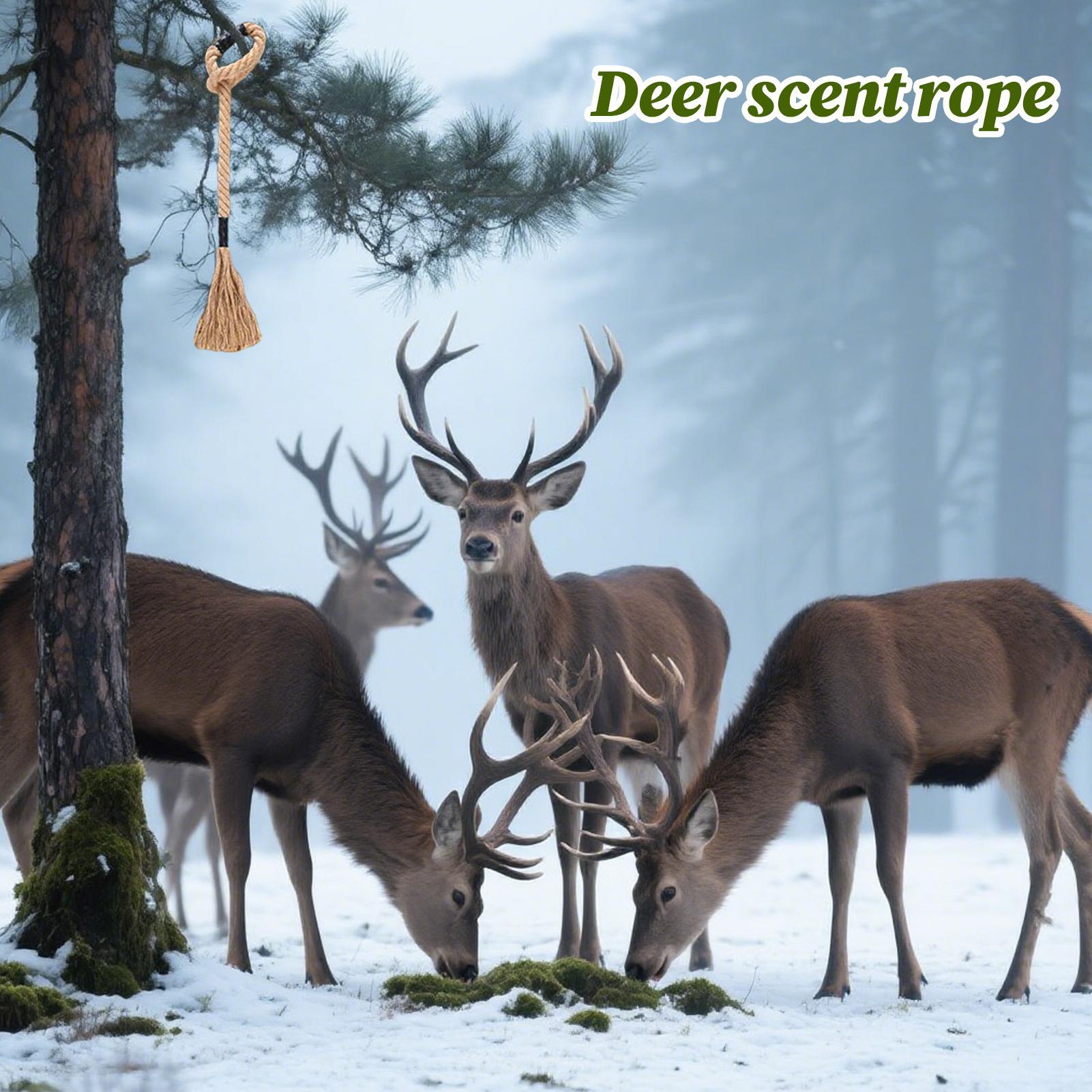 Deer Scrape Effective Long-Las - đánh giá và giá Deer Attractant Scent